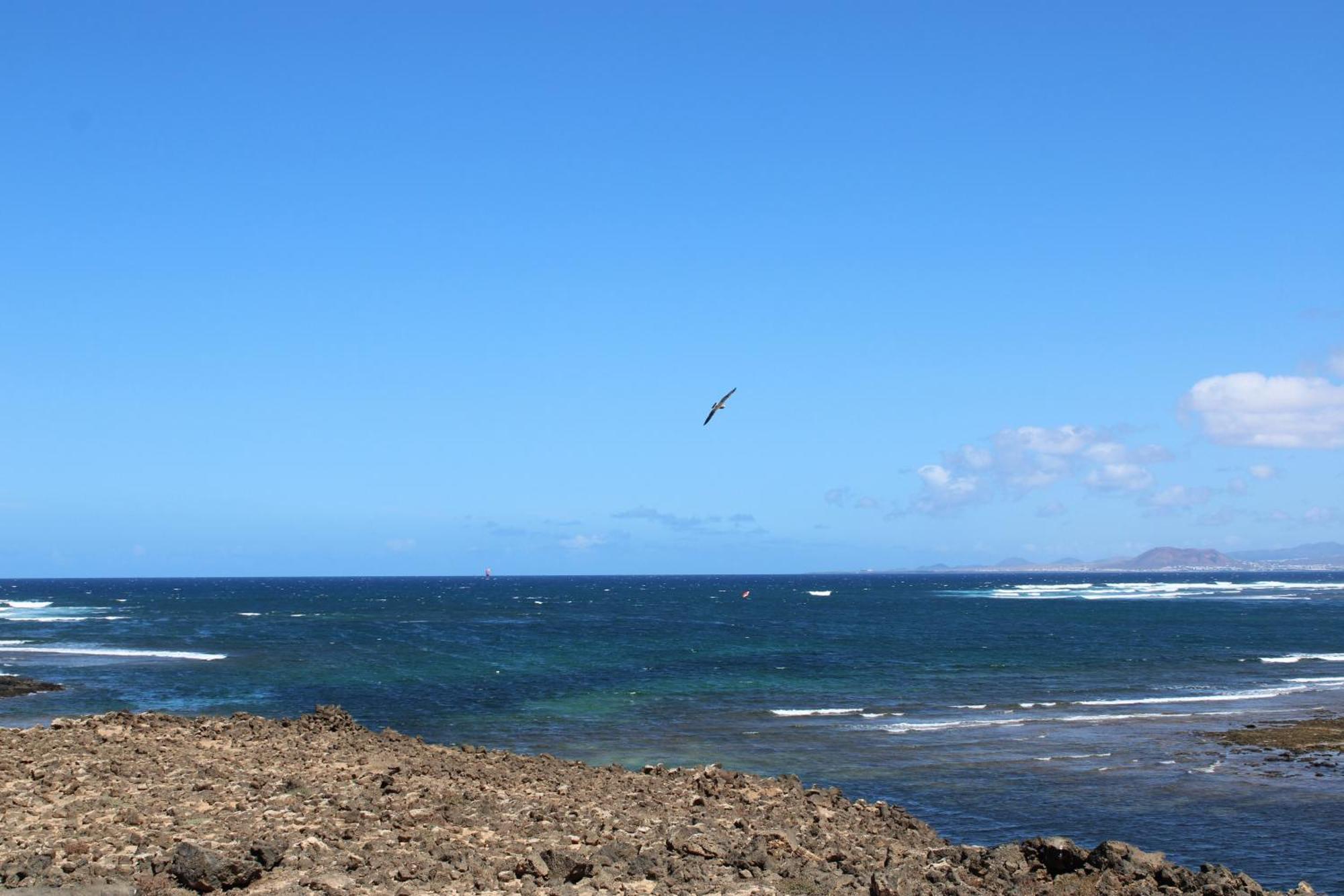 La Maresia By Sea You There Fuerteventura Majanicho Kültér fotó